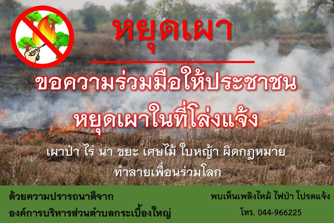 ประชาสัมพันเผาป่า