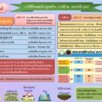 ประชาสัมพันธ์ภาษีที่ดินและสิ่งปลูกสร้าง ภาษีป้าย ประจำปี 2567